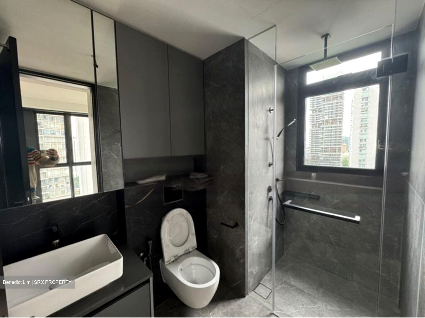 Irwell Hill Residences (D9), Apartment #450301991